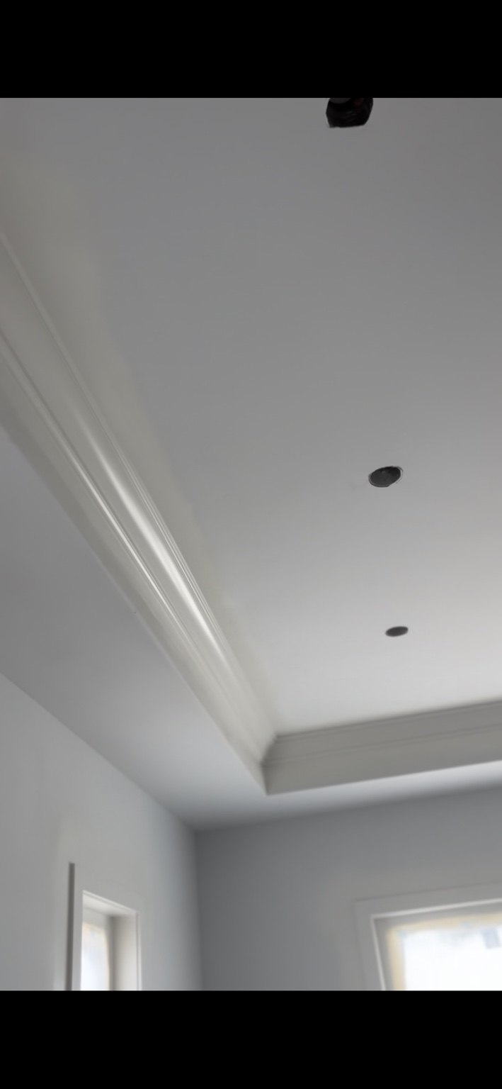 Ynot Painting trim and ceiling project